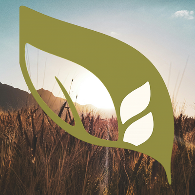 foto Teamleider Productie voedingsmiddelenindustrie